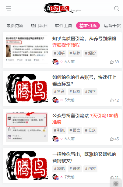 一个烂大街的项目，但做的人依然很赚钱-腾哥精选