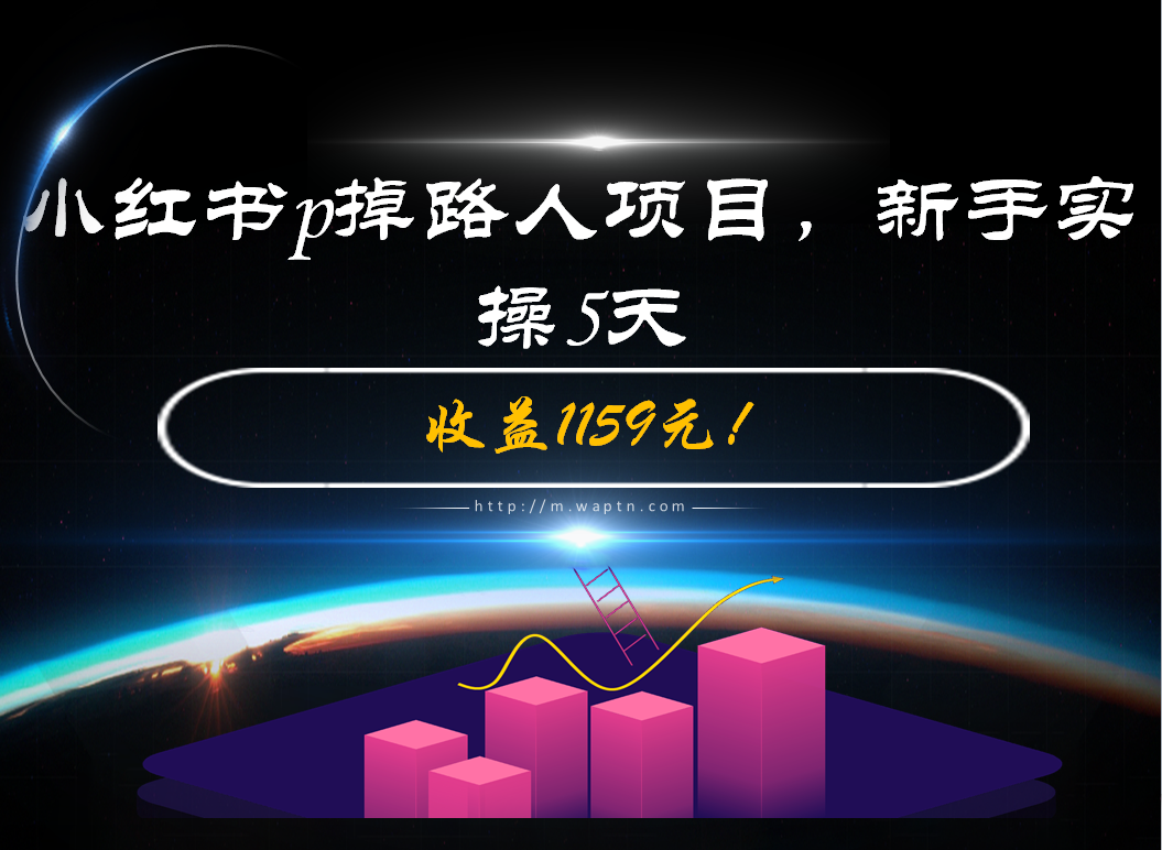 小红书p掉路人项目，新手实操5天-腾哥精选